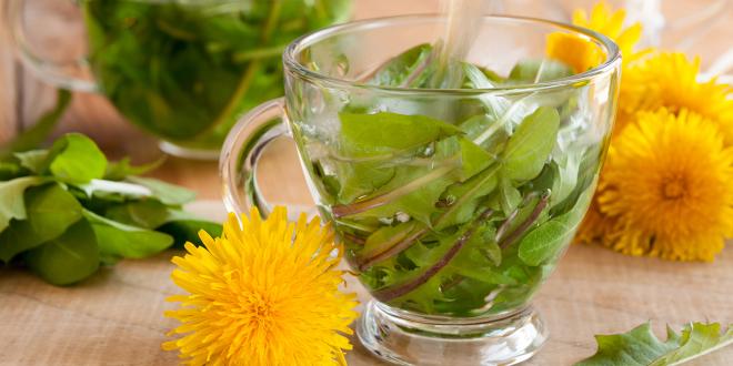 dandelions and other herbs in a teapot