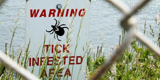 tick warning